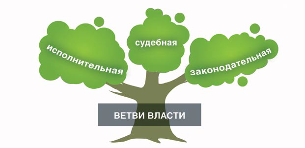 Три ветви сша. Разделение властей 3 ветви власти. Разделение властей на 3 ветви. Дерево власти. Схема дерева власти.