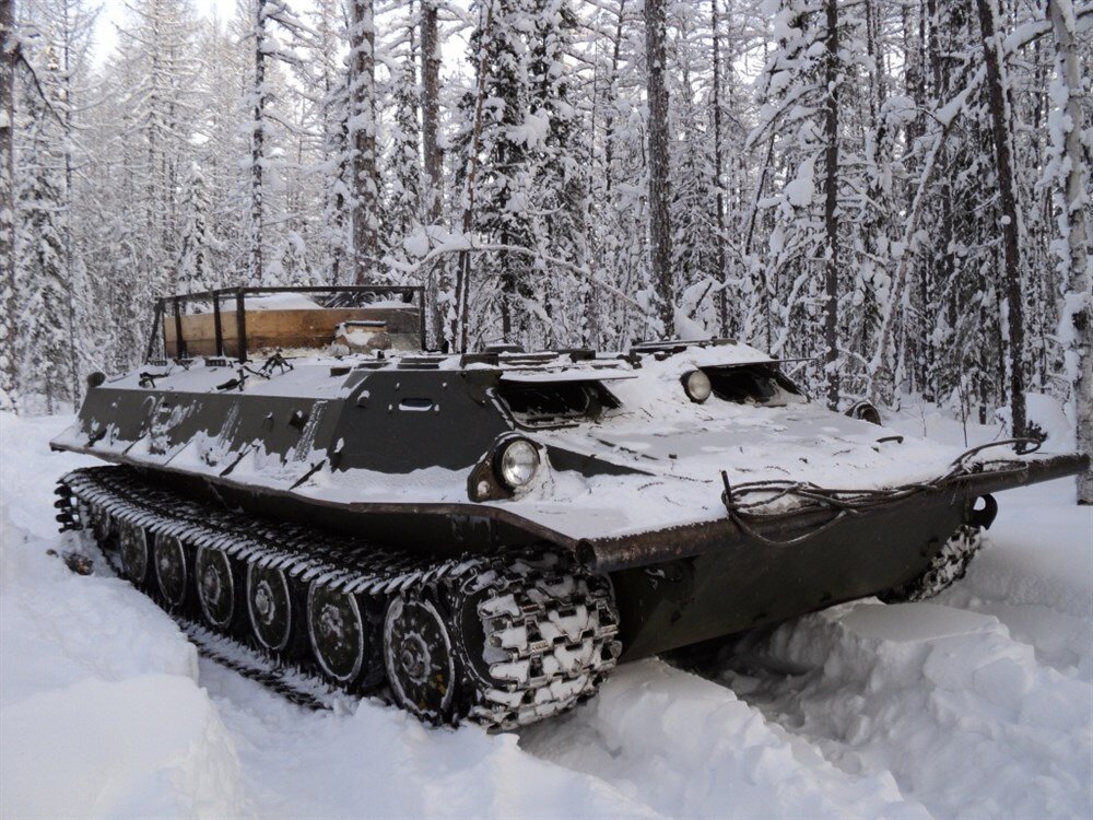 (фото из интернета)