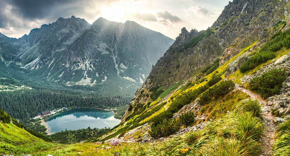 фото: up-brands.ru