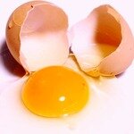 Яичный желток