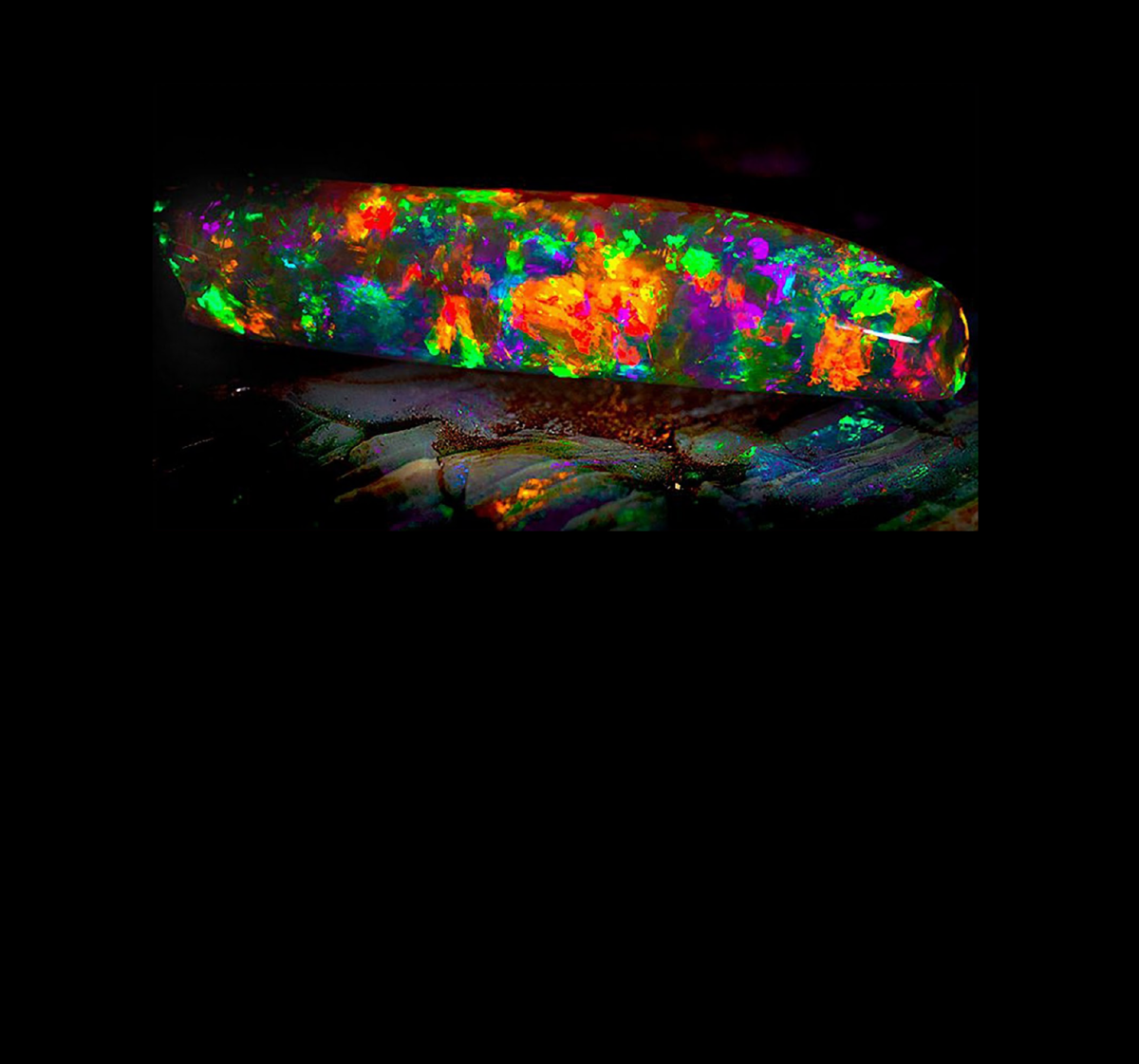 Недавно найденный в Австралии образец черного опала "Радуга Девы" с сильным эффектом иризации. Статьи выходят каждый день после 18:00 по мск.