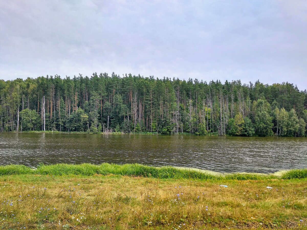 Ульяновская природа. Село Терентьевка. Терентьевка Ульяновская. Река Терентьевка Ульяновская область. Село Терентьевка Ульяновская область.