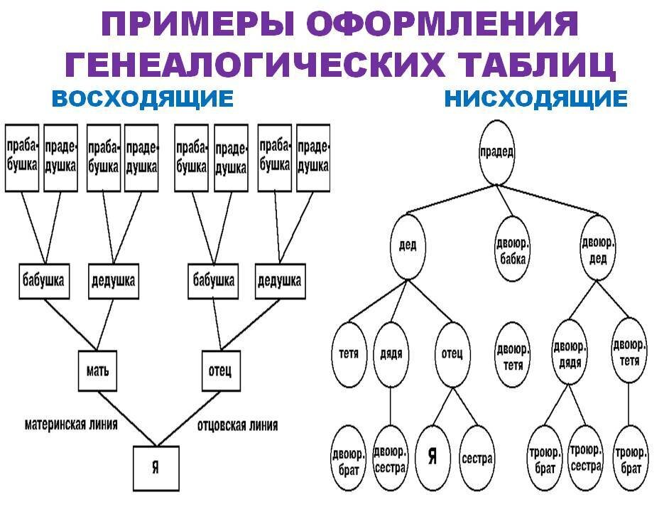 Как правильно составить генеалогическое древо семьи?