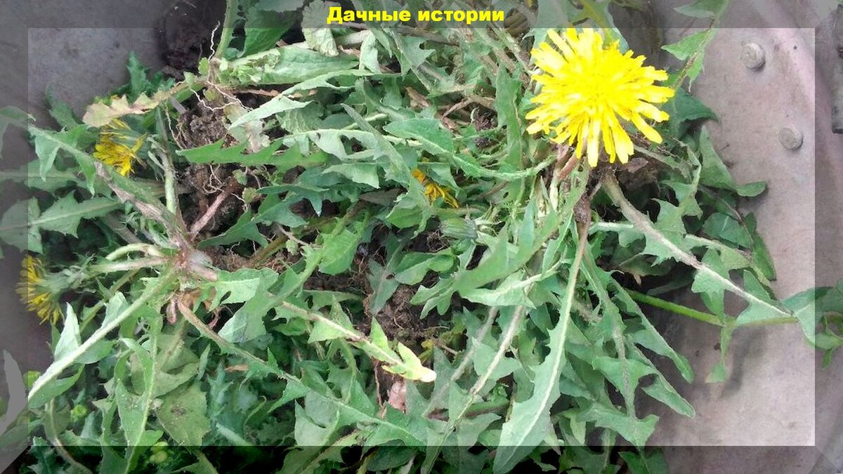 https://vk.com/photo-159774511_456241834