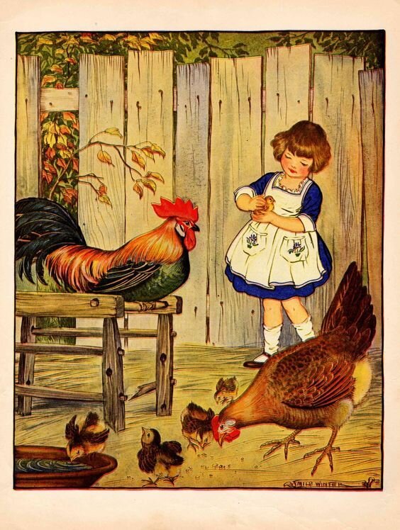 фото из интернета