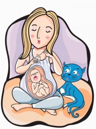 источник:http://ostrica.lechenie-parazitov.ru/lechenie/