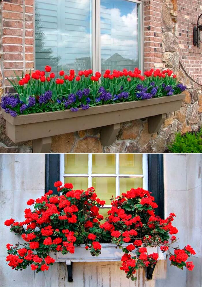 Как украсить окна цветами