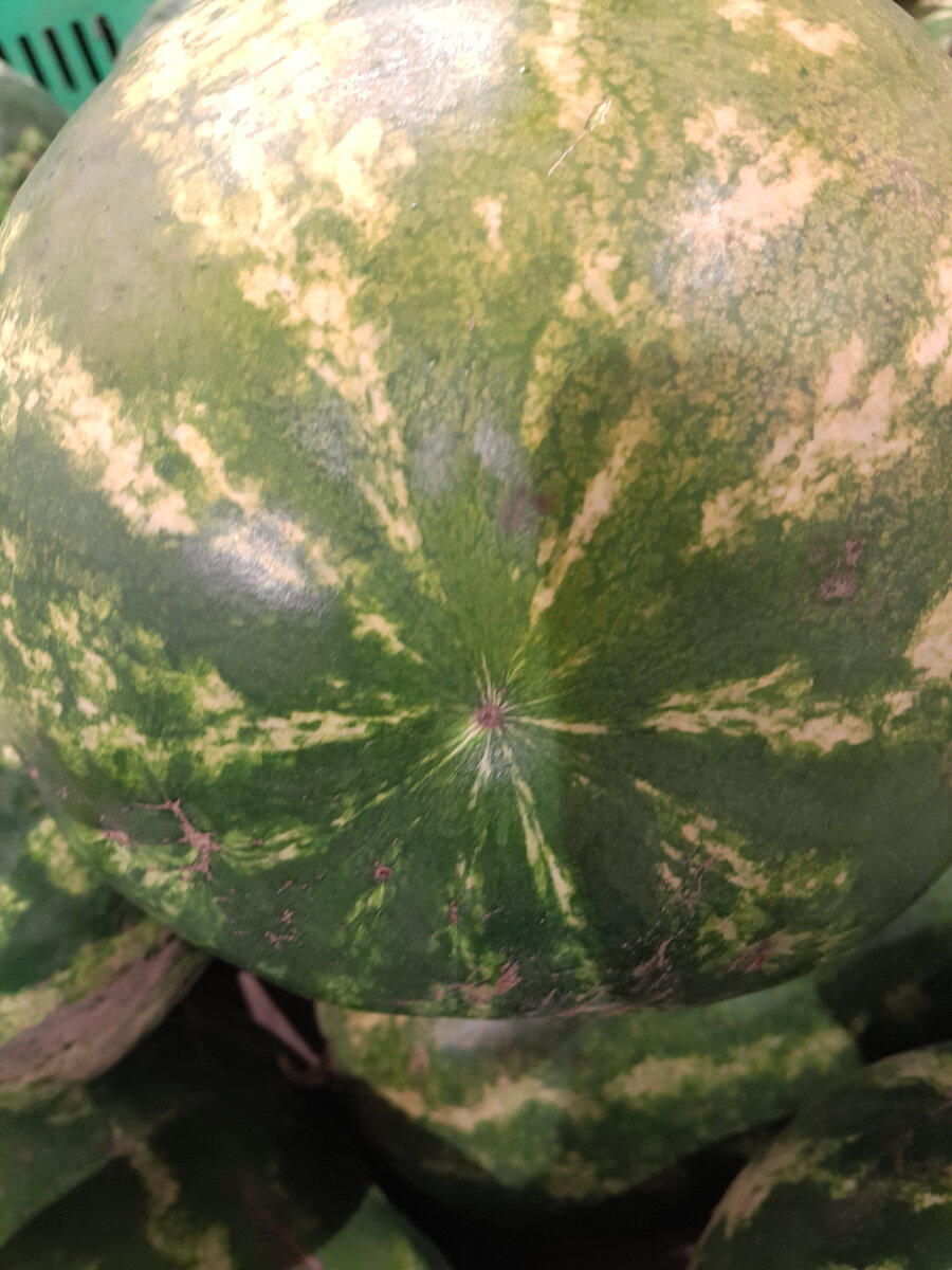 Это арбуз - МАЛЬЧИК