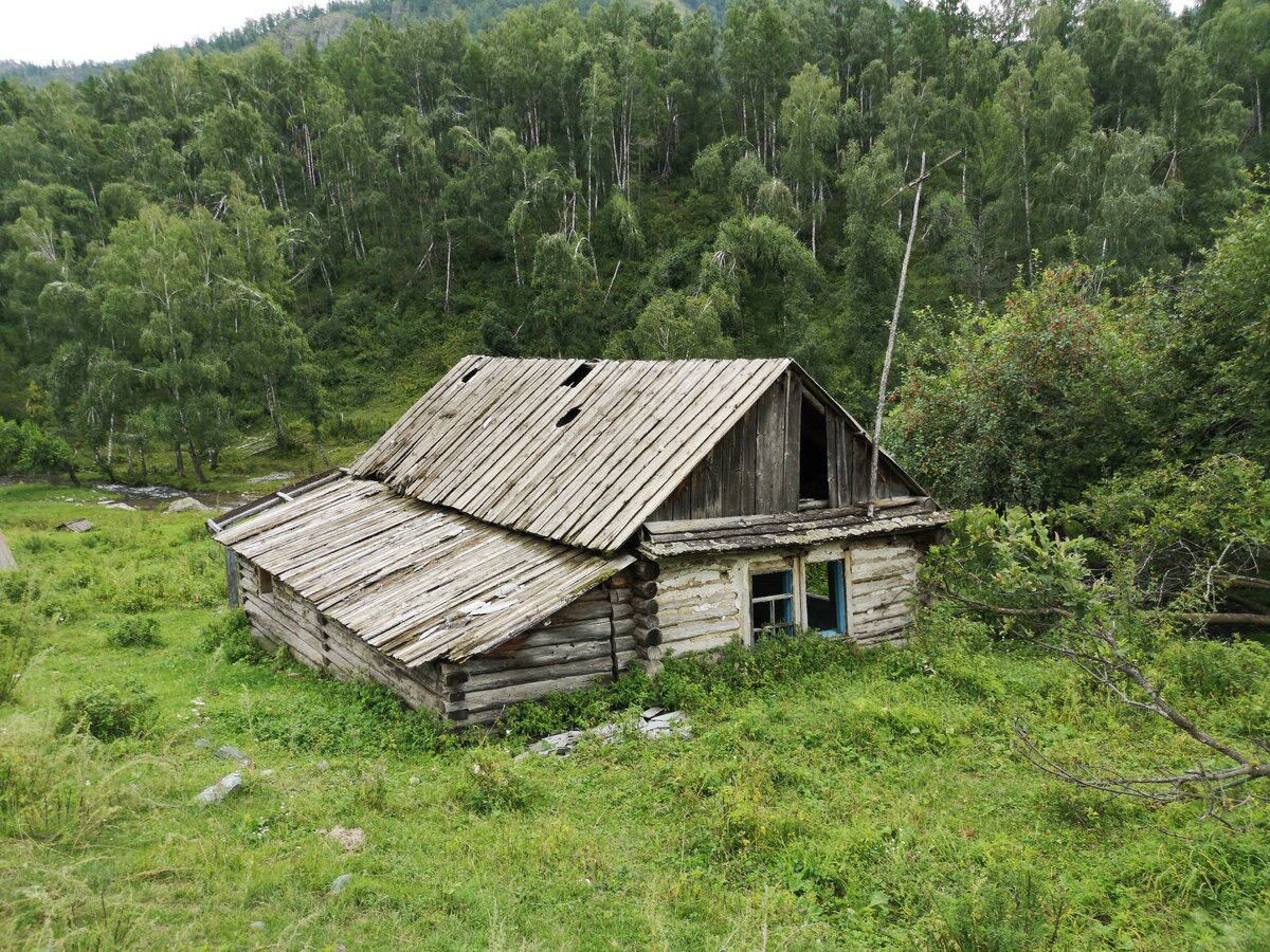 К бабушке,в деревню. (Алтайский край): фото и отзывы — цветы-шары-ульяновск.рф