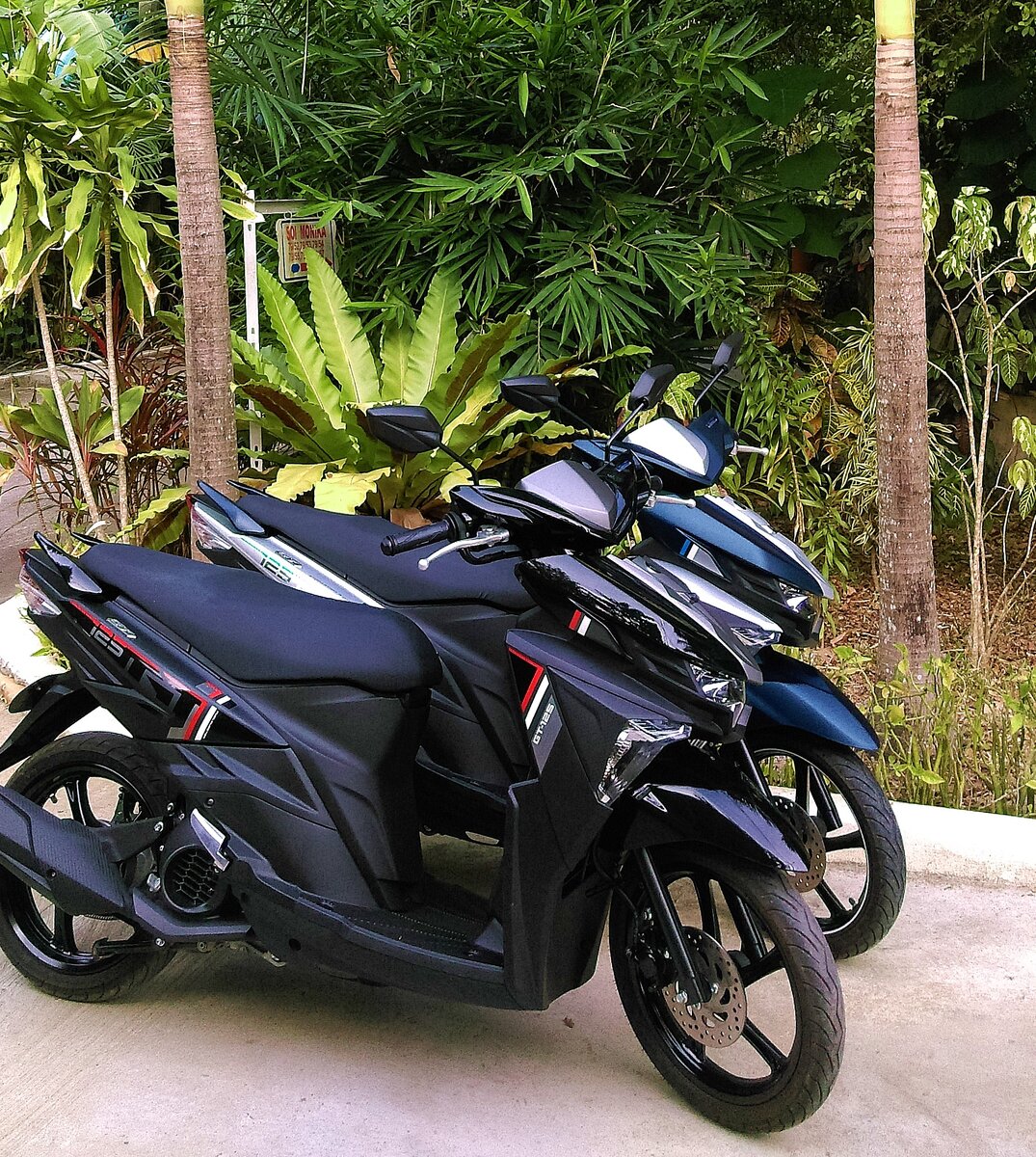 Наши новые Yamaha GT-125, доступны для аренды и бронирования