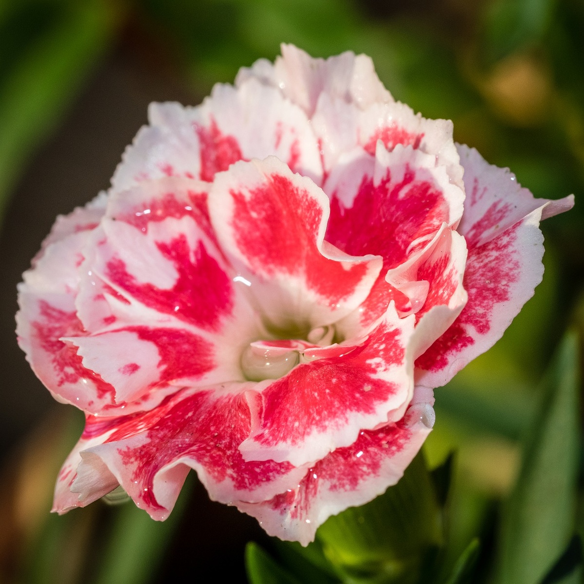 И ты думаешь,что если я буду такой же мне точно повезёт. 