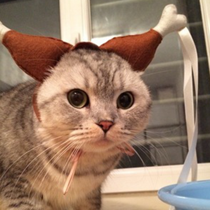 Фото с aliexpress.com