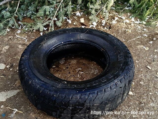 Незамерзающая поилка для кур из старой шины 🚗, когда нужна и как сделать