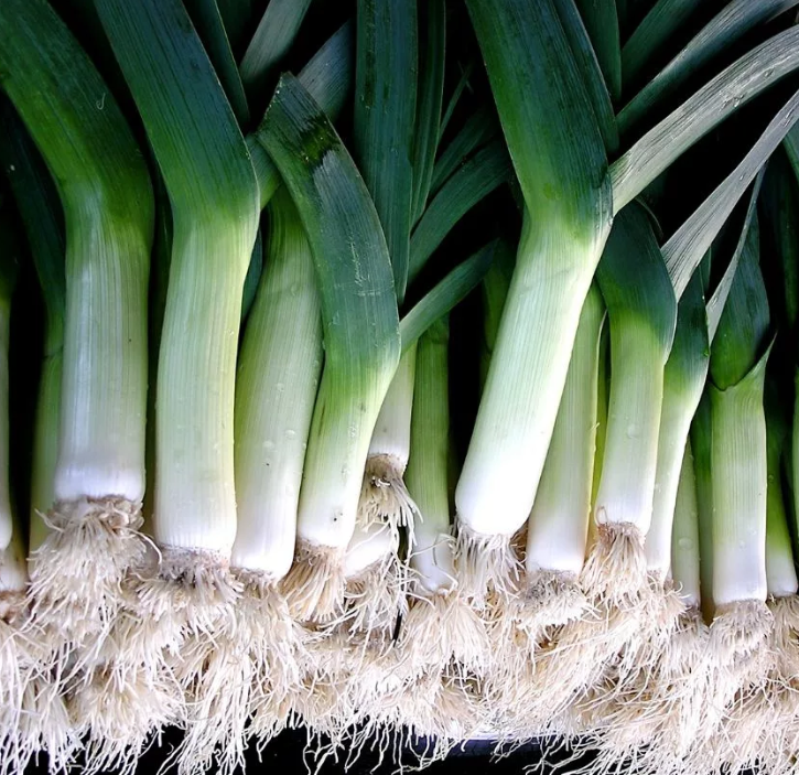 Яндекс.Картинки. Лук порей