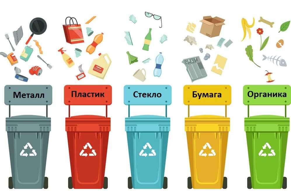 Мусор разделяют на органику, пластик, металл, стекло, макулатуру и токсичные отходы (батарейки, аккумуляторы, ртутные градусники и так далее)