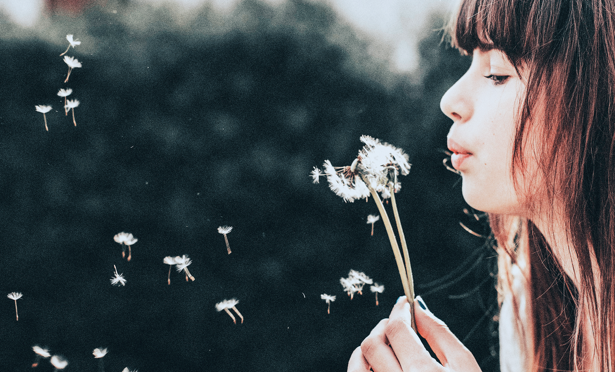 Источник изображения: Unsplash, фотограф Nine Koepfer в авторской обработке. 