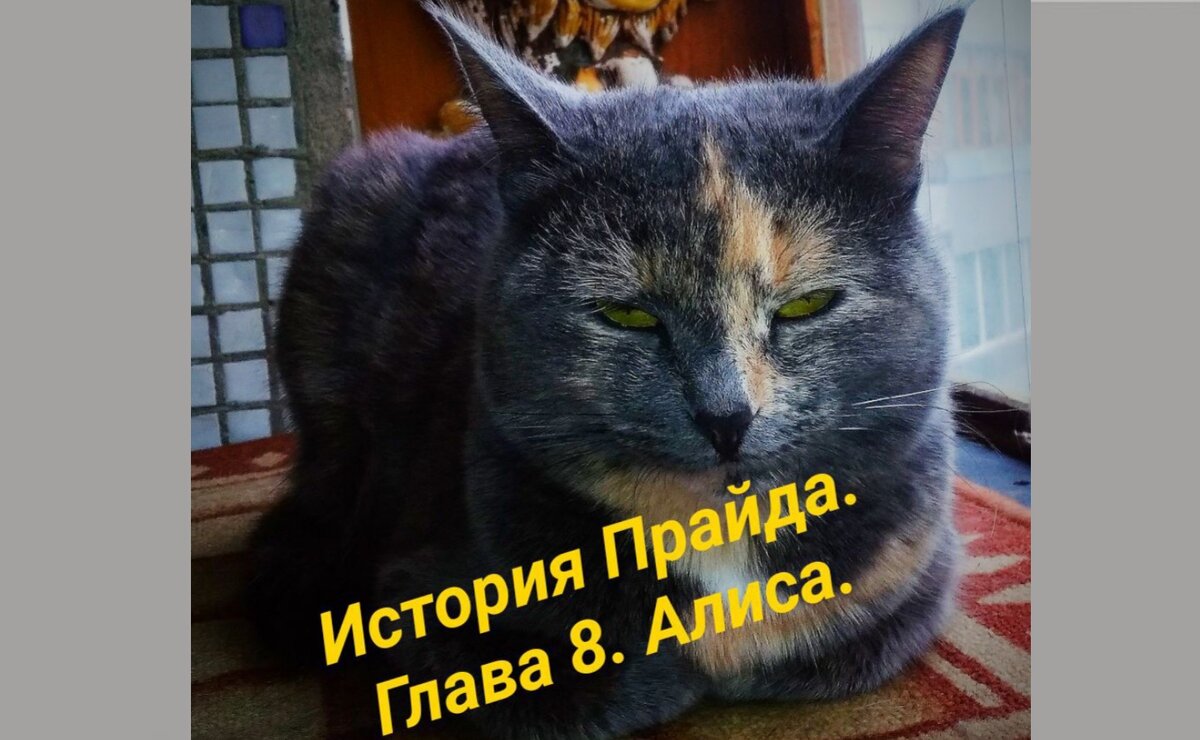 1. Алиса из страны чудес.