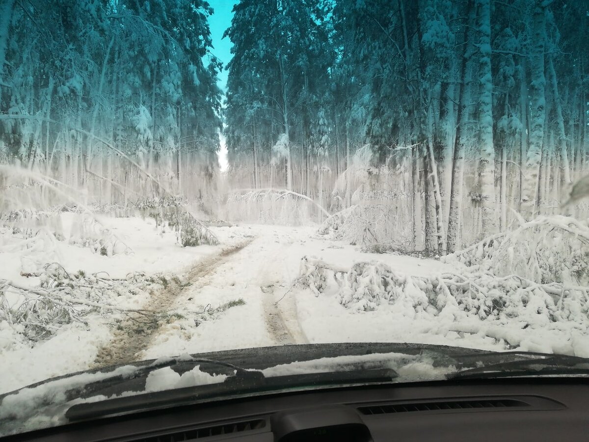 Фото Людмилы Колмаковой