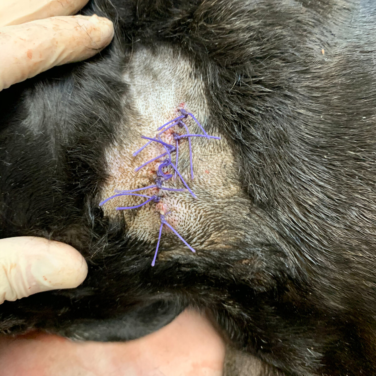 После первичной диагностики, такая шишка может быть удалена.