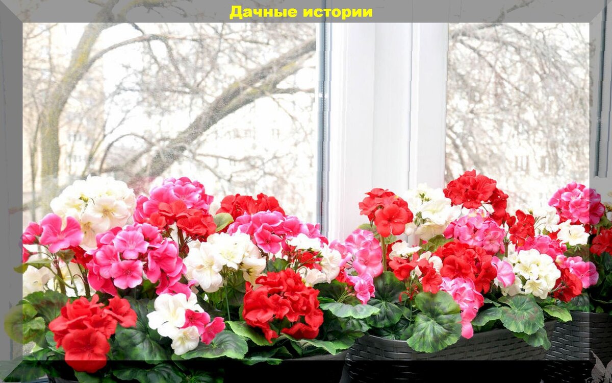 https://vk.com/photo-159774511_457250198