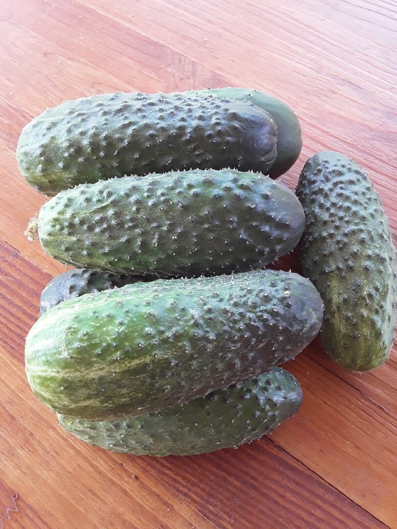 Огурцов получилось мало, а бочка раздражала много