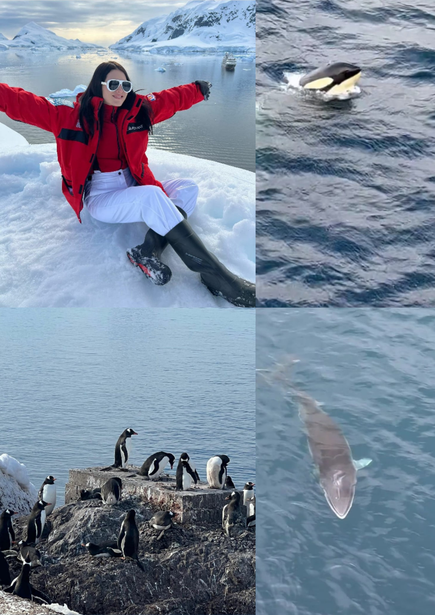 Фотоматериалы из Instagram Марии Солодар @mariyasolodar