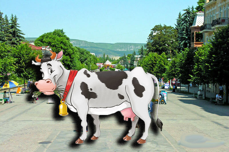 Местный колорит