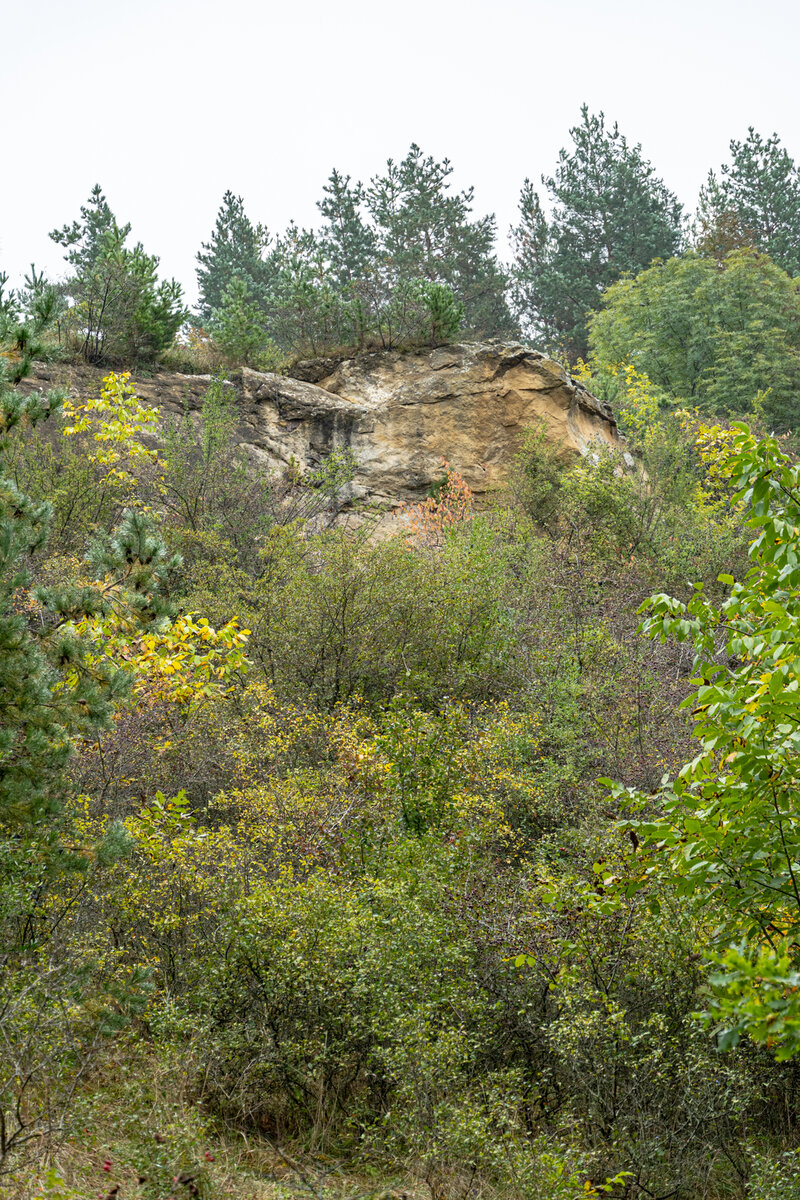 2. Скальный обрыв к северо-западу от видовой точки над каменными грибами.