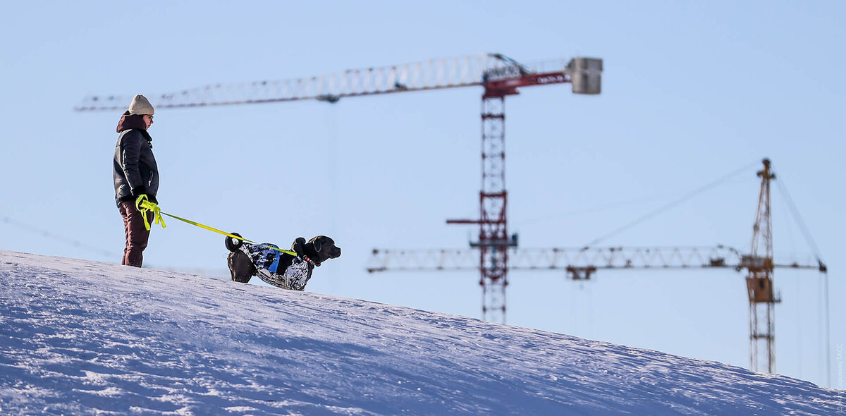 Донат Сорокин/ТАСС