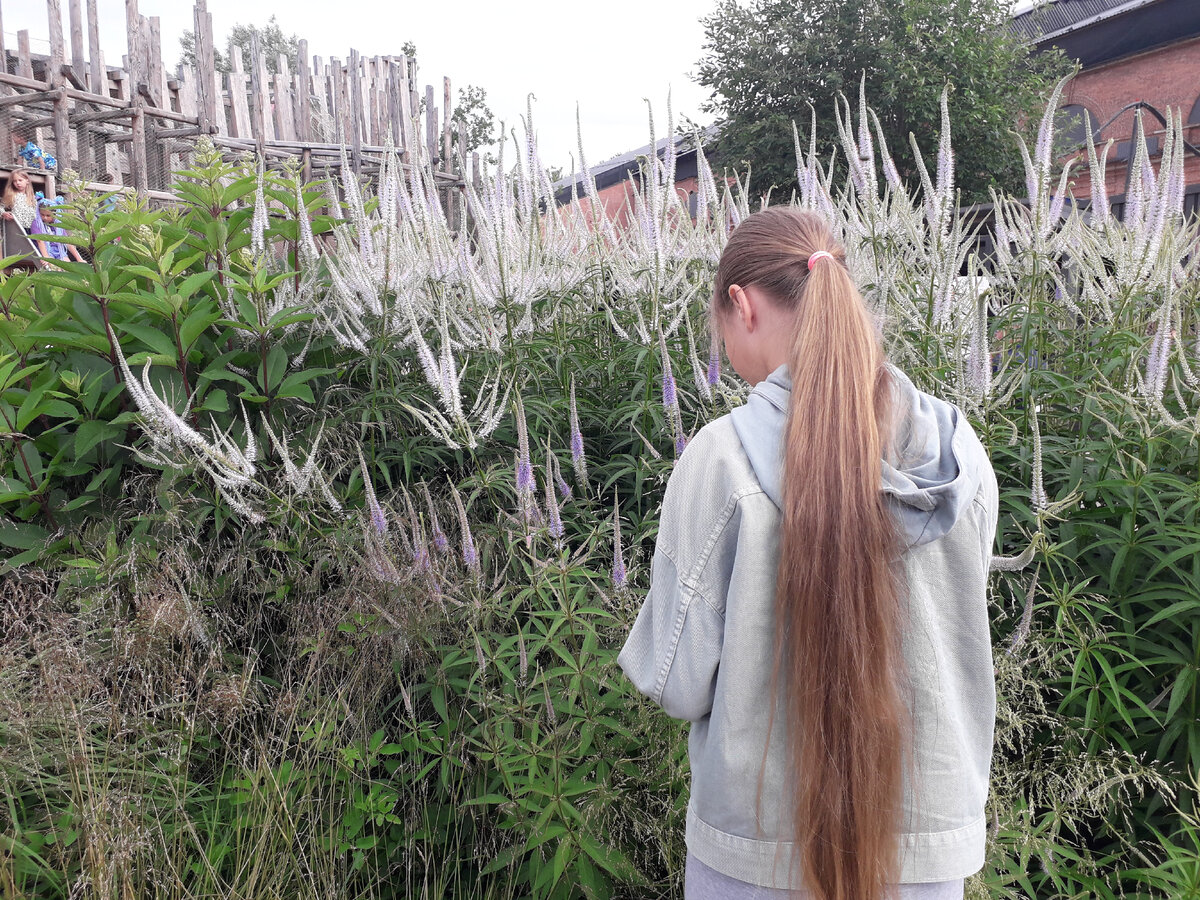 В Петербурге нашли старшего брата екатеринбургского Сада трав