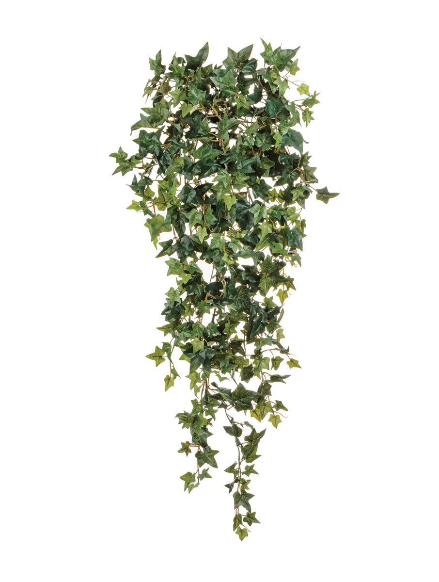 Английский плющ Treez Collection