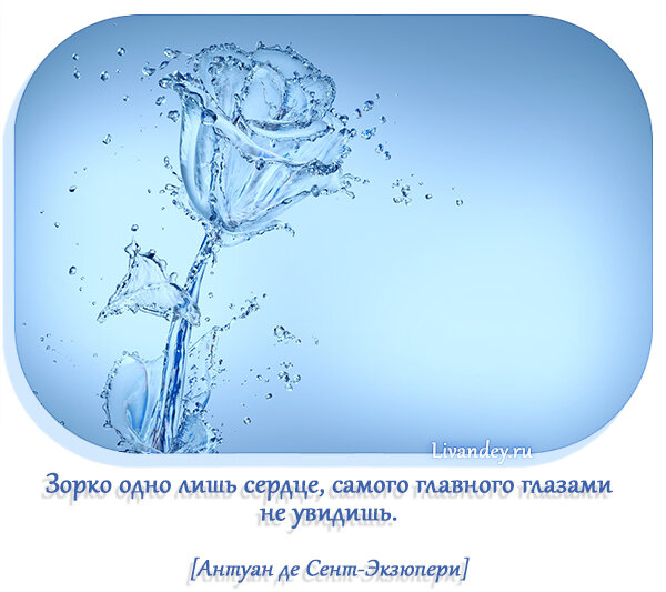 Яндекс картинки
