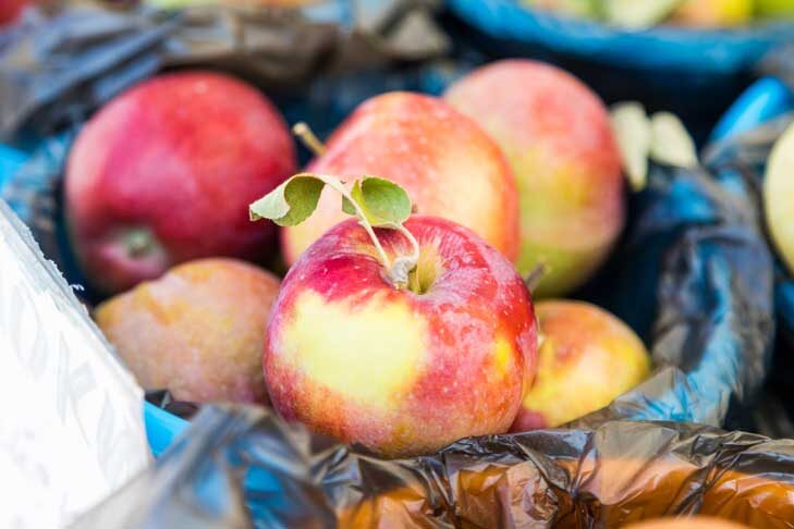 © Фото Андрея Заржецкого📷
