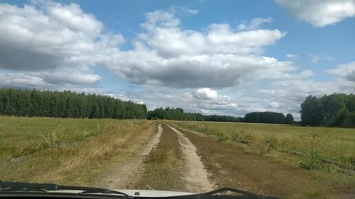 Через поле через лес едем мы в страну чудес