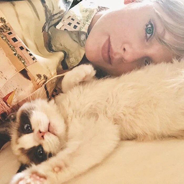 Тейлор Свифт с котом. Фото: Instagram*