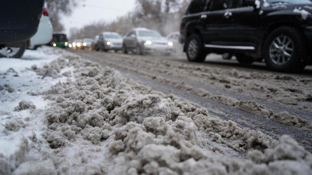    Зимняя дорога.:NUR.KZ/Владимир Третьяков