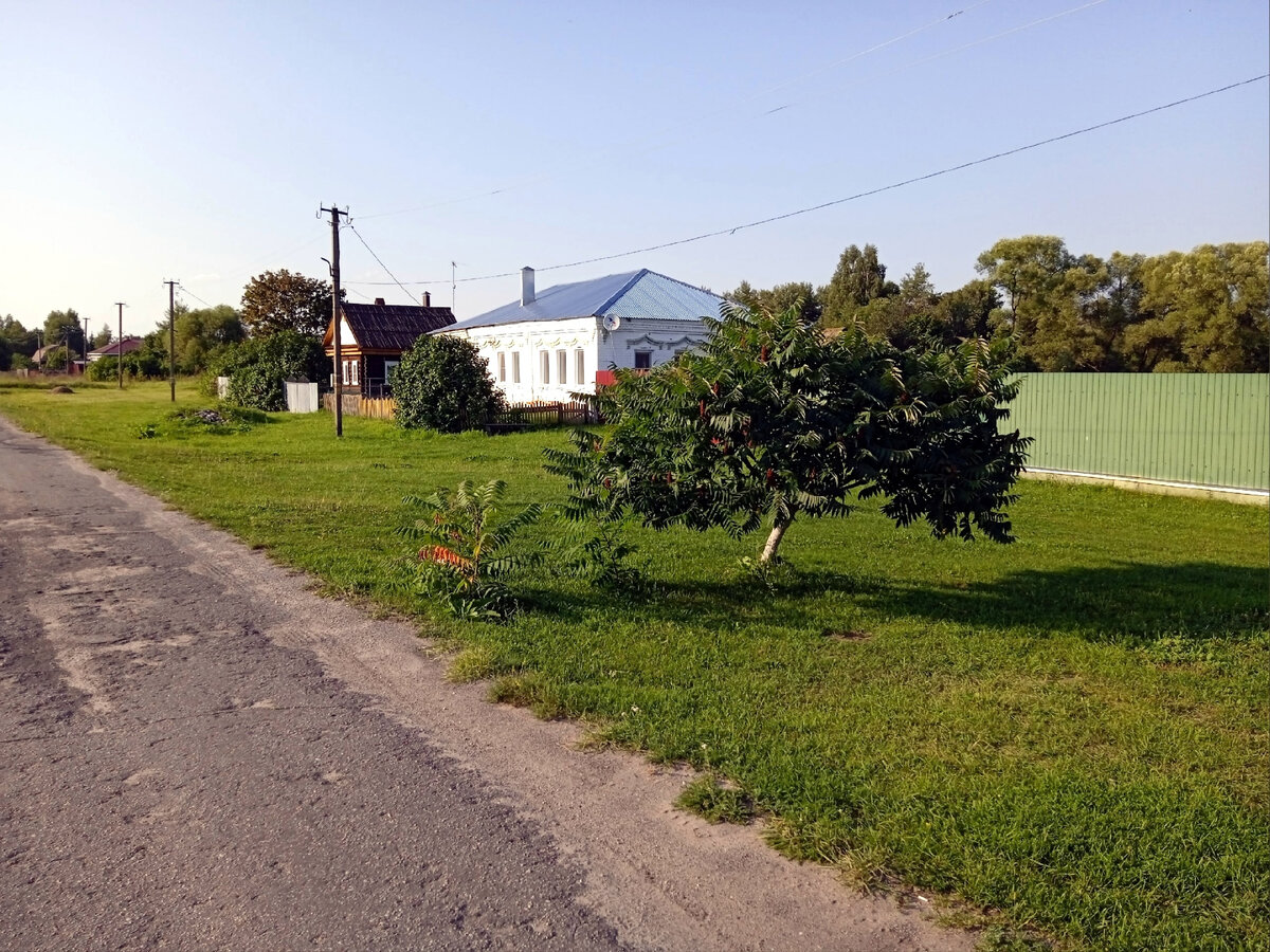 Петрушово. Село Толстиково Касимовский район. Балушево Починки сельсовет. Погода в Толстиково.