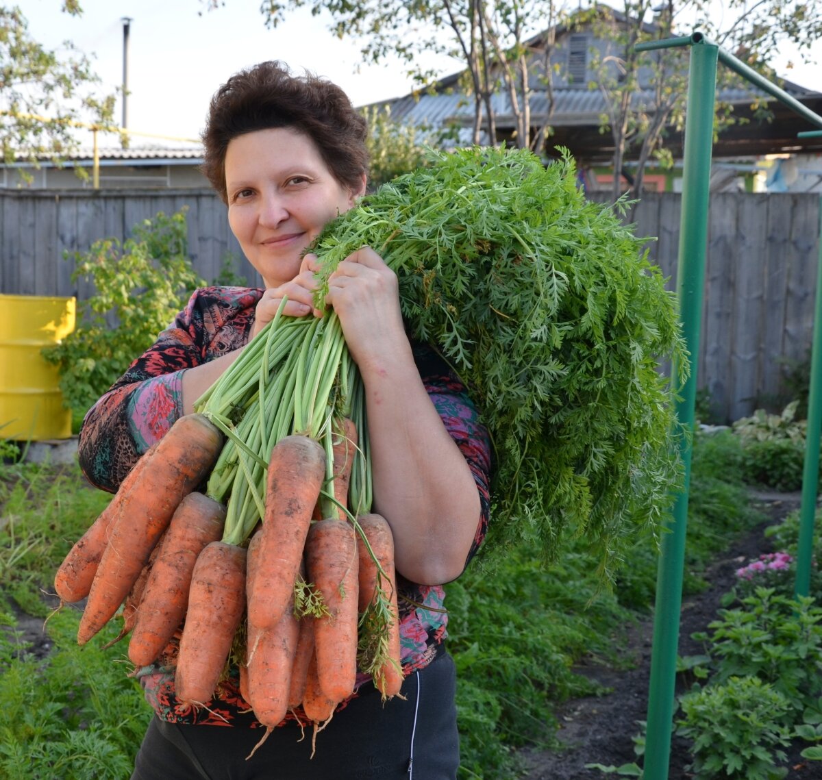 Морковь, правильное хранение урожая до весны