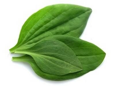 Источник: Pinterest