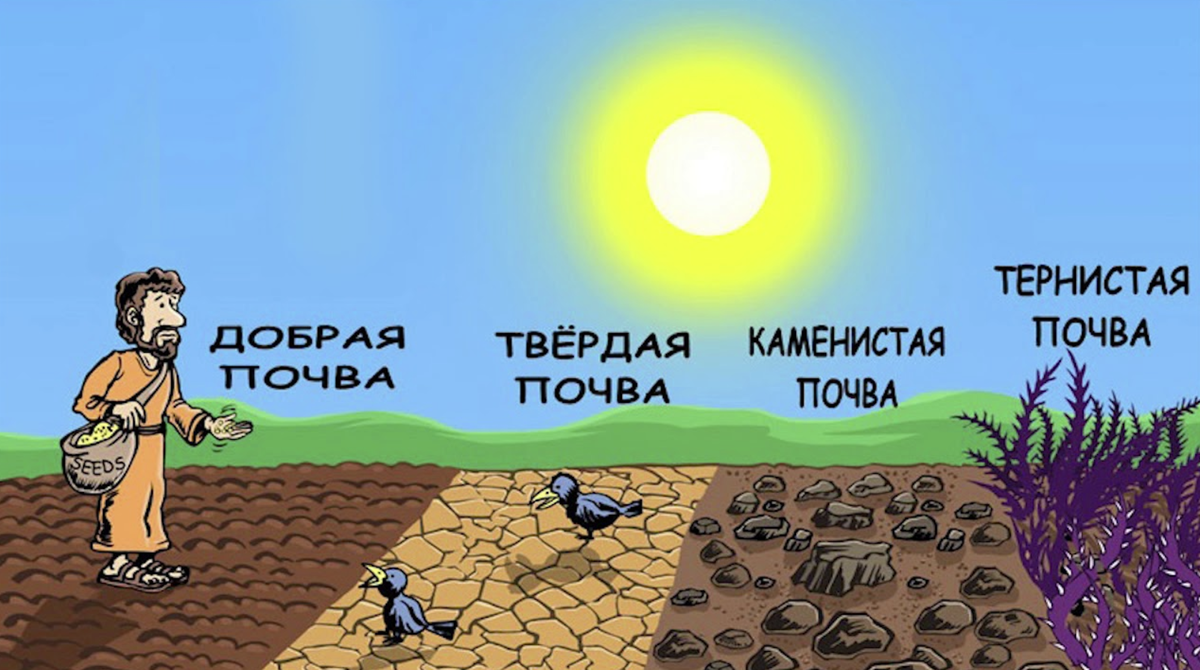 Немного земли. Четыре вида почвы в притче о сеятеле. Притча о сеятеле почвы. Сеятель Библия. Притча о сеятеле иллюстрация