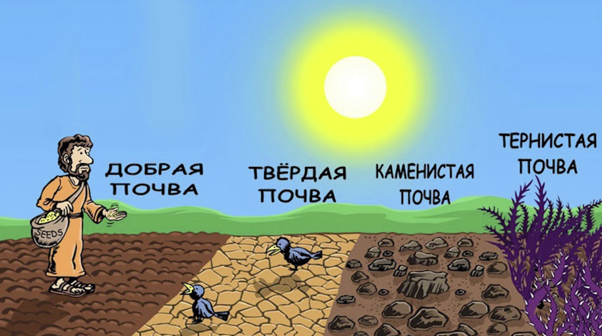 13 матов. Четыре вида почвы в притче о сеятеле. Притча о сеятеле почвы. Сеятель Библия. Притча о сеятеле иллюстрация.