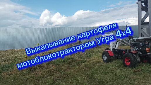 Выкапывание картофеля мотоблокотрактором Угра 4х4