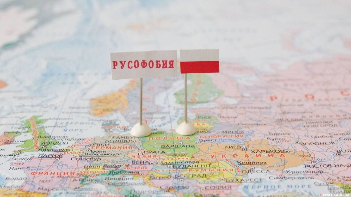 Фото взято из свободных источников