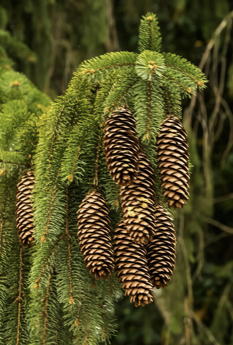 Фото из интернета