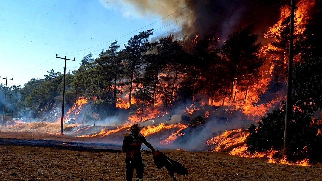 Фото взято с просторов Интернета