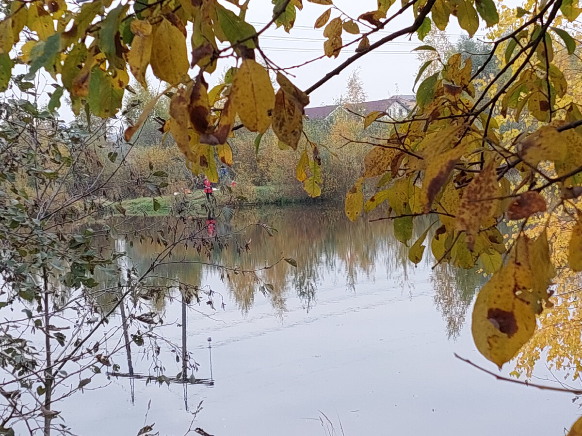 Фото автора. На берегу пруда.