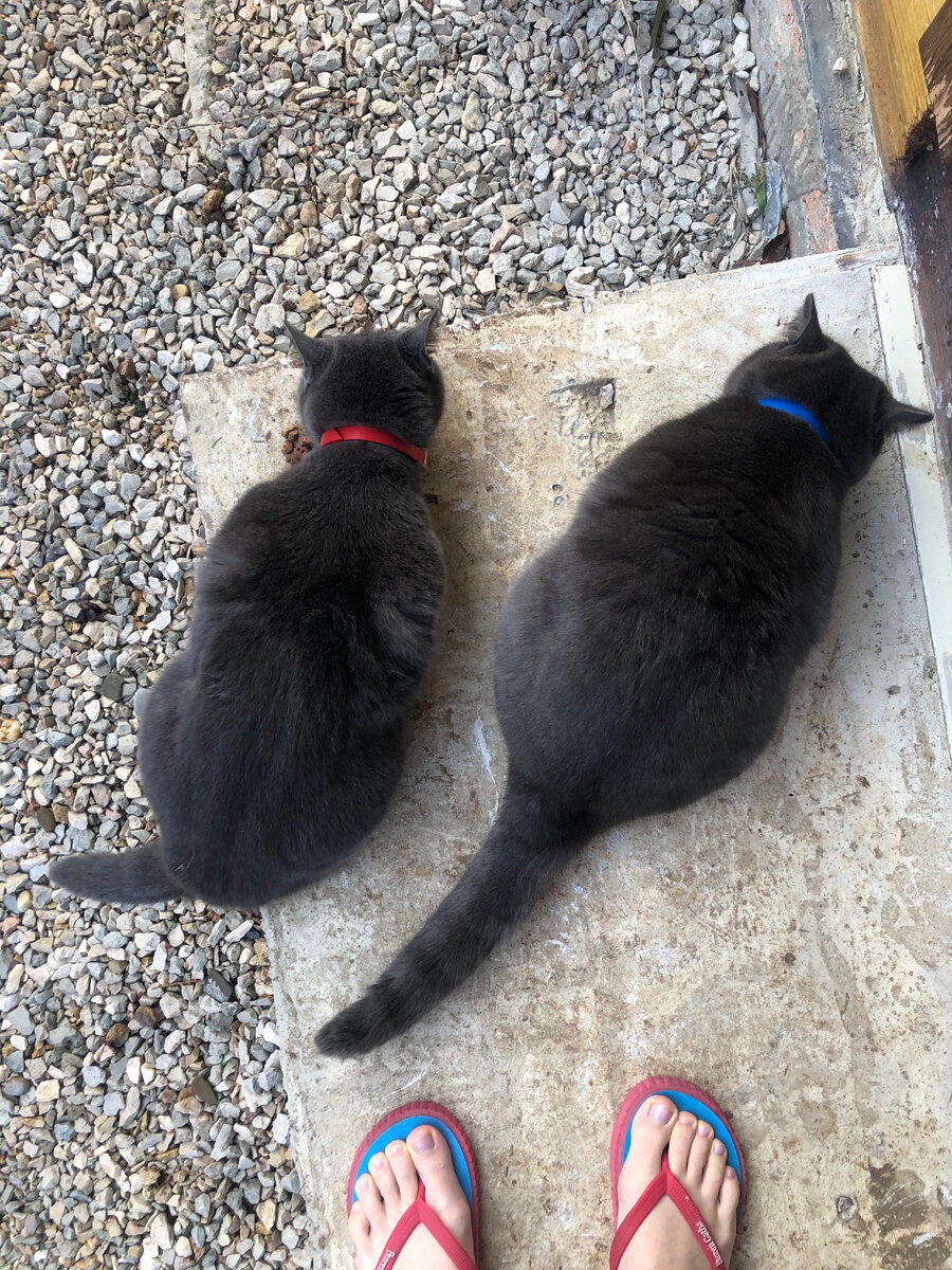 Севастополь, февраль 2021