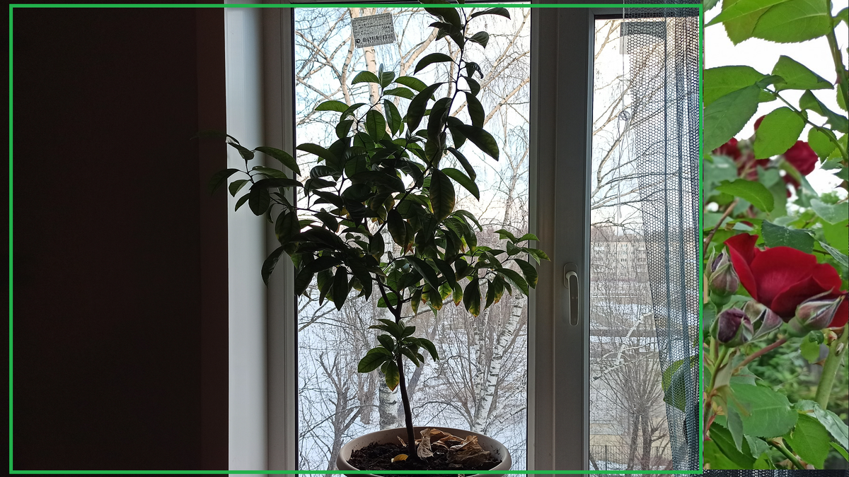 Ставьте "Класс" и подписывайтесь на канал!!!