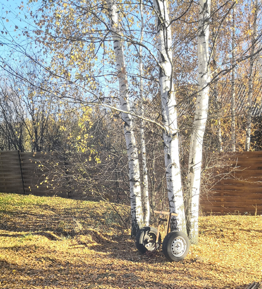 Сохранилось только одно фото