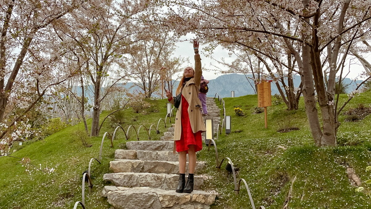 Цветущая Сакура, Мрия. Апрель 2022